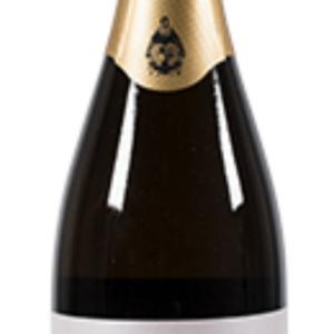 VINHO ESPUMANTE-TOJEIRA Blanc des Blancs Reserva Bruto 0.75L